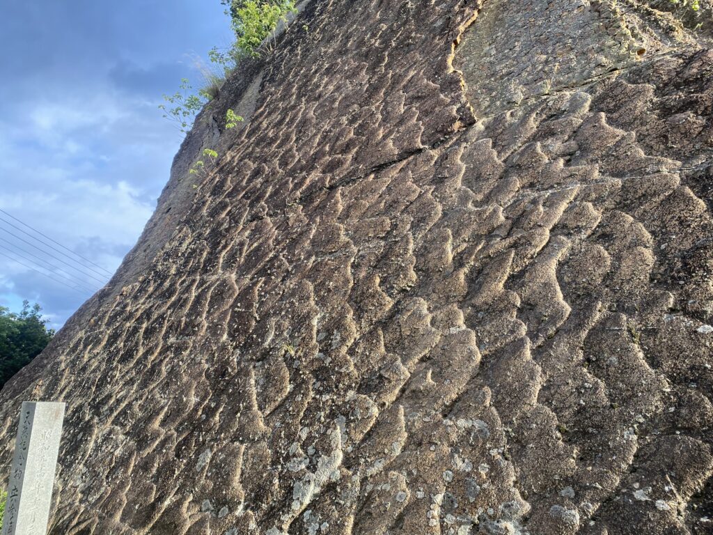 宍喰浦の化石漣痕
