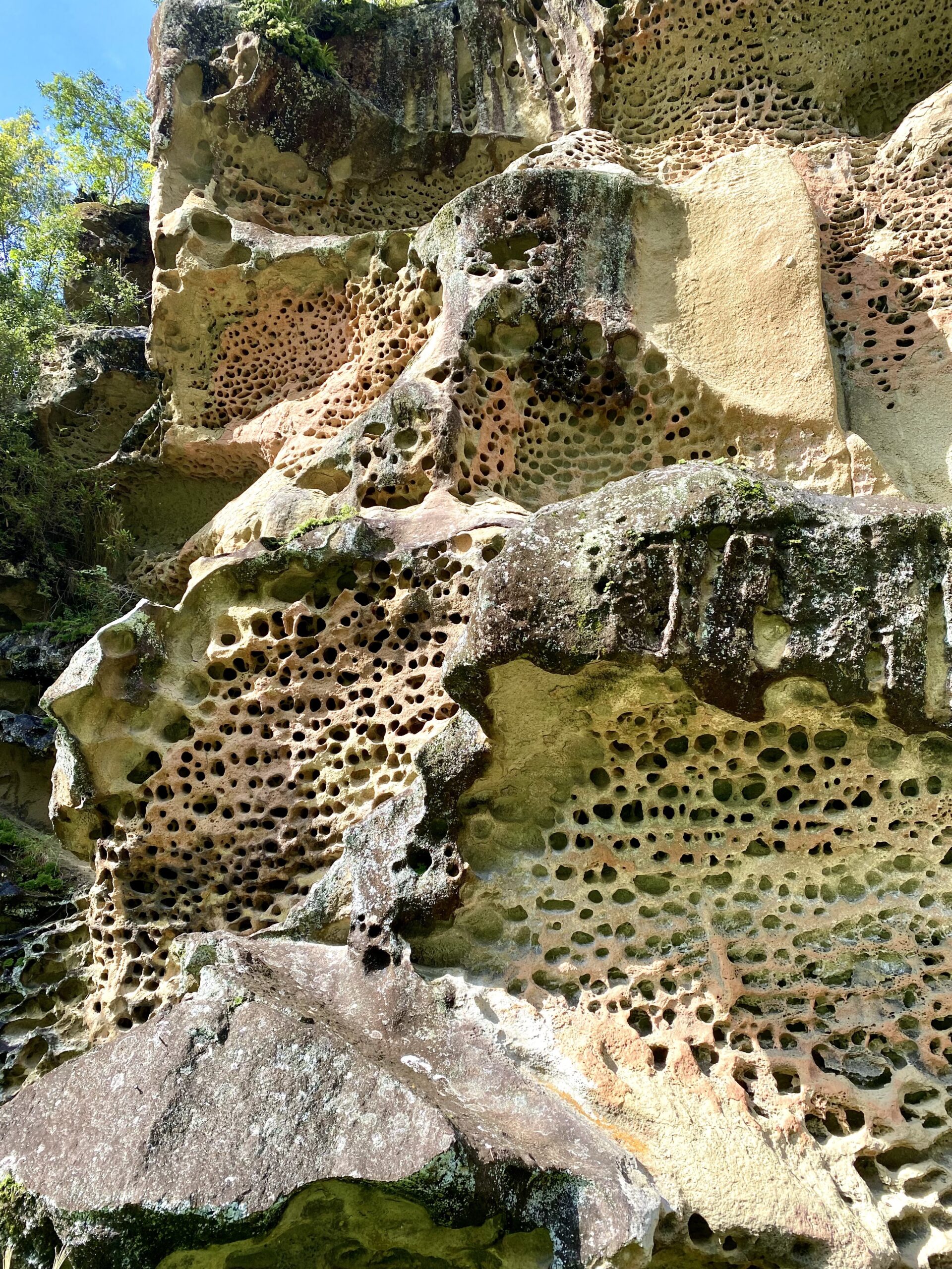 虫喰岩